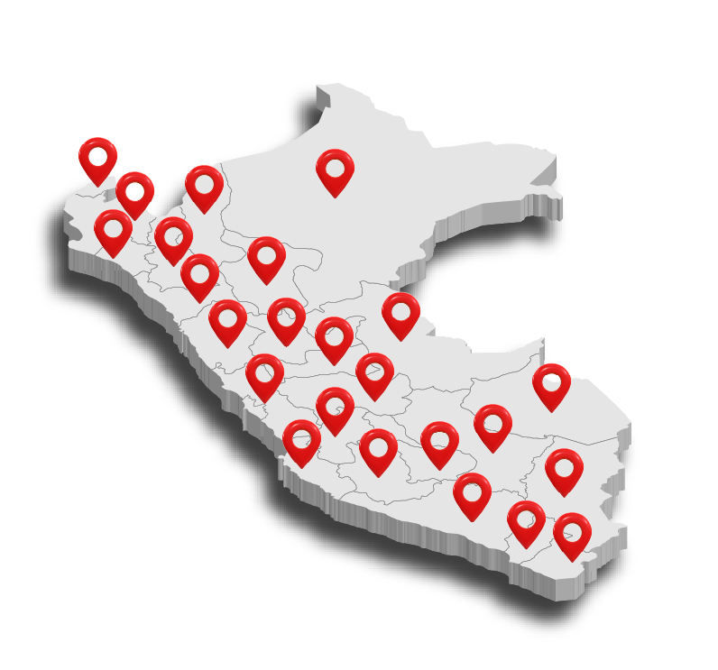 bioseguridad perú